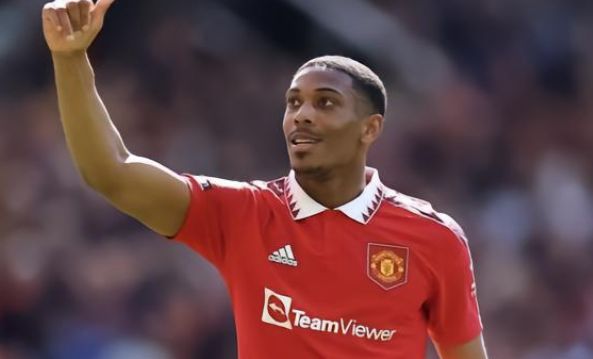 可能采取的 可能采取的